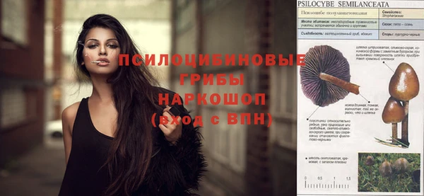 прущие крисы Бронницы