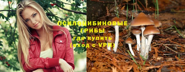 прущие крисы Бронницы