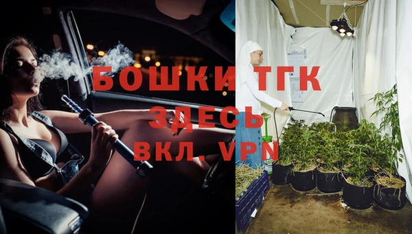 круглые Бородино