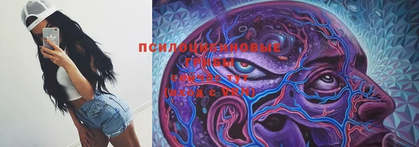круглые Бородино